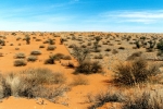 Kalahari Desert