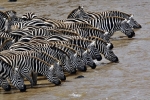 Masai Mara Reserve in Kenya