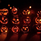 pumpkins image