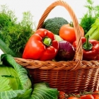 World Vegetarian Day 2014