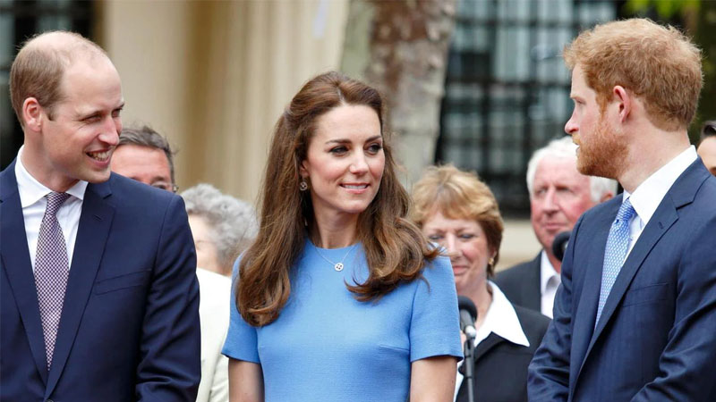  Kate Middleton Urges Prince William to Reconcile with Prince Harry Amid Health Battle