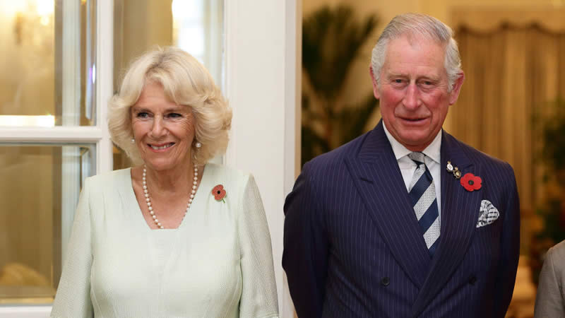  Queen Camilla steps out amid King Charles and Kate Middleton’s recovery