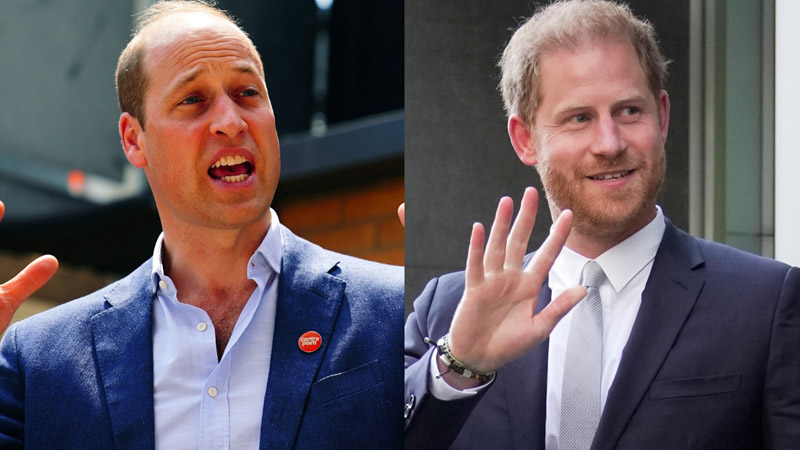  Prince William Reportedly Worried About Prince Harry’s Role During His Future Reign