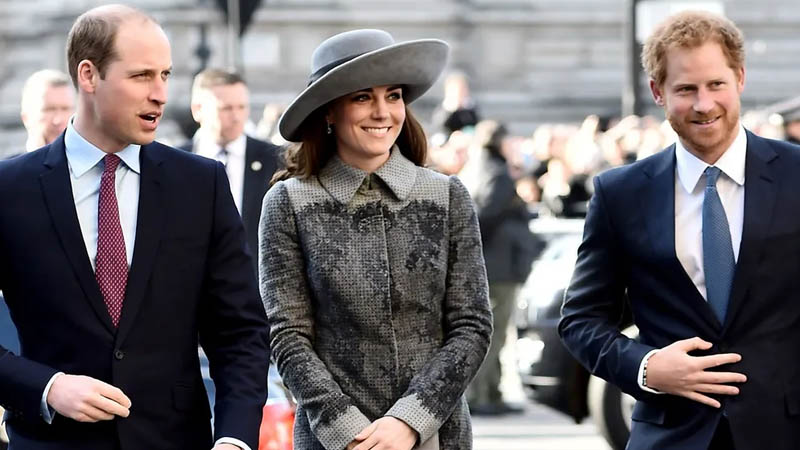  Kate Middleton’s Persistence Pays Off as Prince William Begins to Soften Toward Reconciliation with Prince Harry