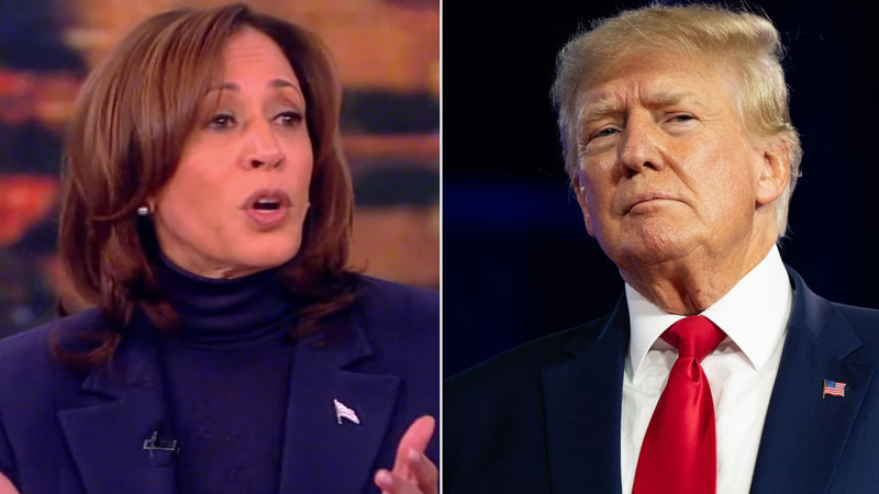  Trump Targets Kamala Harris Amid Biden Nomination Debates ‘The Best Insurance Policy I’ve Ever Seen’