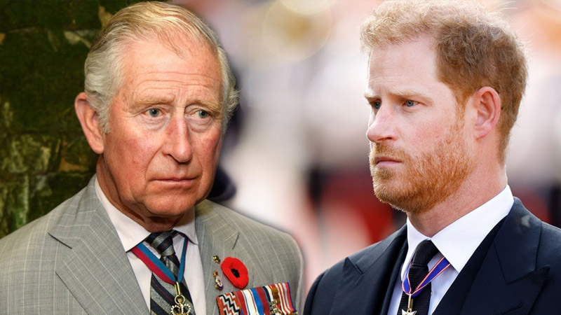  Prince Harry sees renewed hope for King Charles reunion, told royal expert