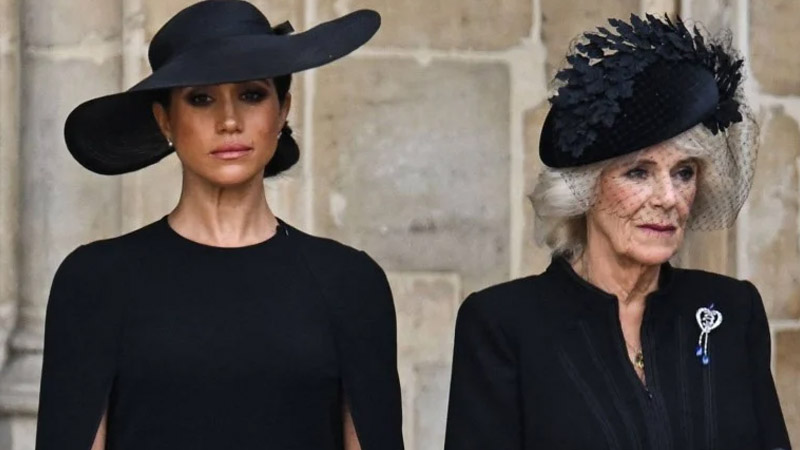  Queen Camilla seemingly disses Meghan Markle amid rumors of Prince Harry’s royal return