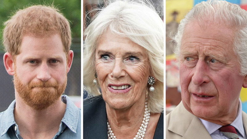  Queen Camilla Allegedly Drives Wedge Between King Charles and Prince Harry ‘Sussexes Excluded from Balmoral Gathering’