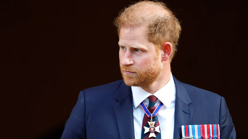  Prince Harry’s rejection as ‘Spare’ no longer gives ‘excitement’, says Royal expert