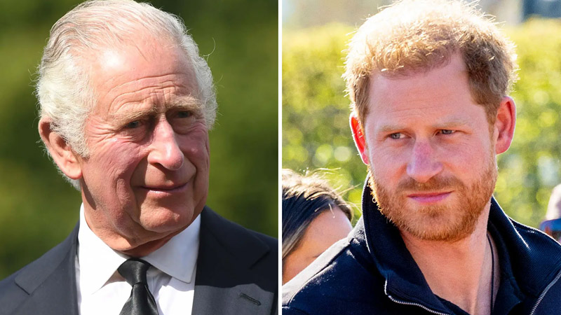  King Charles plans a visit to Prince Harry as his health improves, says royal expert