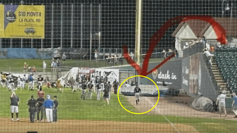  Tragic Incident at Southern Maryland Blue Crabs Game Claims Life of 5-Year-Old Boy