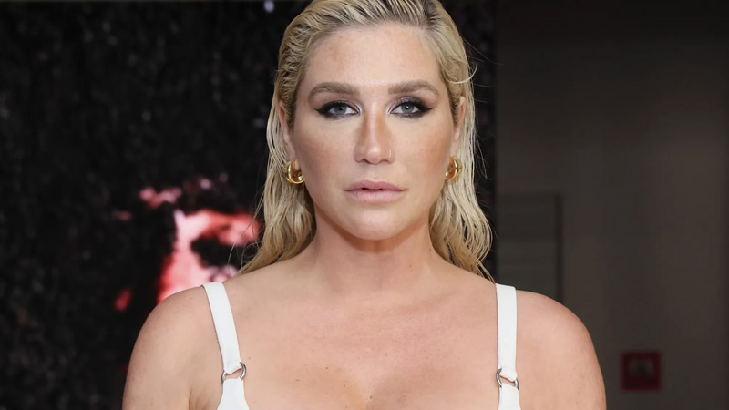  Kesha displays risque choice as she is ‘bored of wearing clothes’