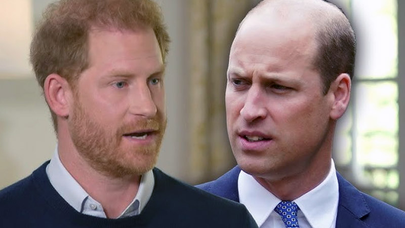  Prince Harry and Prince William Likely ‘Horrified’ by Mohamed Al-Fayed Abuse Allegations, Says Royal Expert