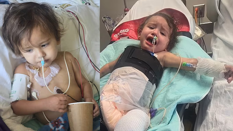  Toddler Hospitalized After Lawn Mower Accident at Washington Daycare, Family Seeks Justice