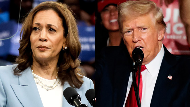  Kamala Harris Campaign Mocks Trump After Bizarre Claims in Dr. Phil Interview: ‘If Jesus Counted the Votes, I’d Win California’