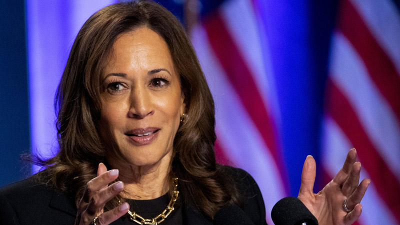  Right-Wing Host Says Kamala Harris’ Voice Is ‘Nails on a Chalkboard’ During Trump Event