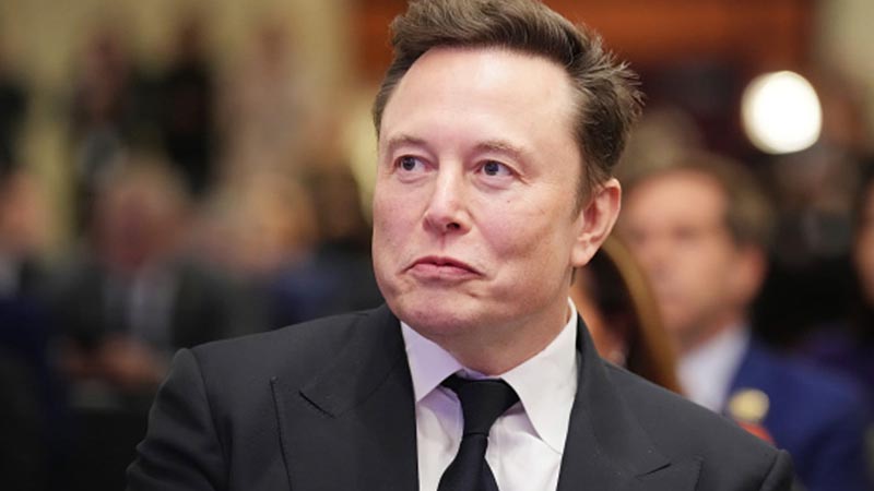  Elon Musk’s Federal Efficiency Mission Faces Legal and Bureaucratic Hurdles